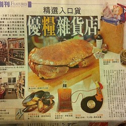 專訪ifood 精選入口貨 優糧雜貨店(資料轉自星島日報)